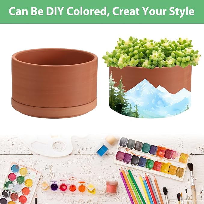 JUXYES 6 Inch Terracotta Shallow Pot with Holes and Saucers, Round Cylinder Succulent Planter Clay Flower Pots for Indoor and Outdoor Use, Decorative Bonsai Succulent for Mini Foliage Plants Orchids