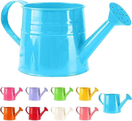 Watering Can Gardening Tool Accessories, Sprinkling Can 1L Metal Flower Garden Watering Can for Outdoor Indoor Plants Lawn Garden (Blue)
