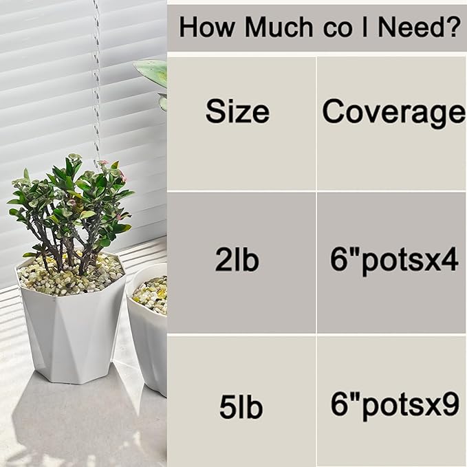 Jade Rocks for Plants Indoor, 1/5 inch Small Pebbles for Indoor Plants, Decorative Rocks for Succulents Cactus Bamboo Vases Landscaping Drainage and Outdoor Garden 5 LB