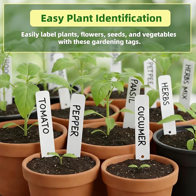 Plant Labels 250 PCS, Slim White Garden Plant Tags with Holes, PP Plastic Waterproof Labels with Permanent Marker, Jute Twine & Storage Box for Indoor & Outdoor Gardening (250PCS)