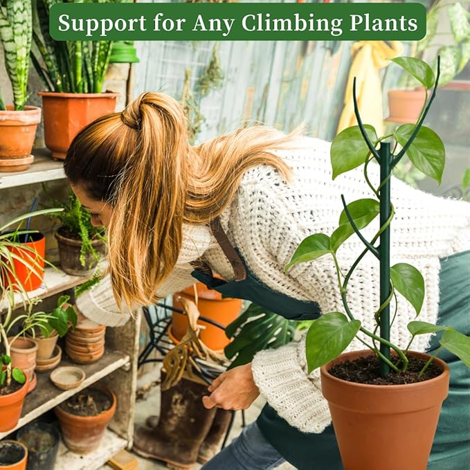 5 Pack Stackable Plant Support Stakes, 38inch Climbing Plant Sticks Structures for Monstera with Garden Ties, Durable Alternative to Moss Pole for Indoor Outdoor Plants