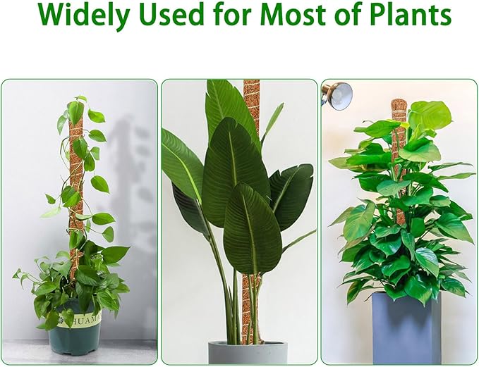 Moss Pole, 63-Inch Moss Poles for Plants Monstera,Bendable Plant Support Stakes for Climbing Plants Indoor, Garden Trellis Plant Stick for Potted Plants, Pothos Philodendron