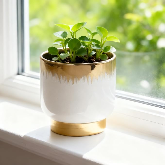 White Ceramic Planters, Gold Flower Pots for Indoor Plants with Drainage Holes, Modern Round Planter with Drainage Holes - Plant Not Included 4.33 X4.33 Inch
