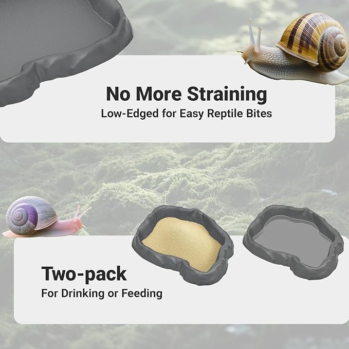 2 Pack Snail Food and Water Bowl，atural Design Food Bowl for Pet Snails, Garden Snails Pet Land Snail Supplies