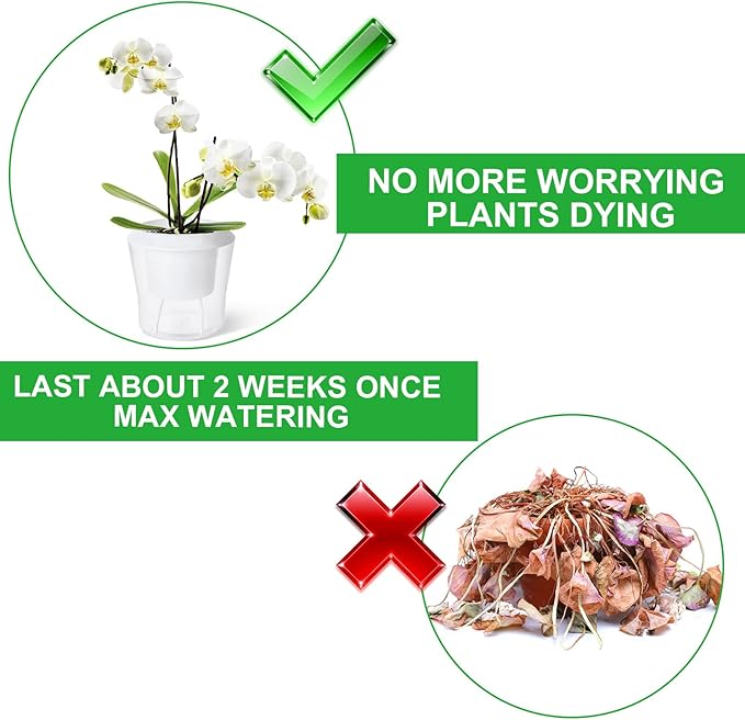 MNKNENG 12 Pack Self Watering Pots for Indoor Plants 4.3 Inch Small Self-Watering Planter Pots with Water Level Indicator, Clear Plastic Round Plant Pot for Succulent, Flower, Herb,Office Home Decor