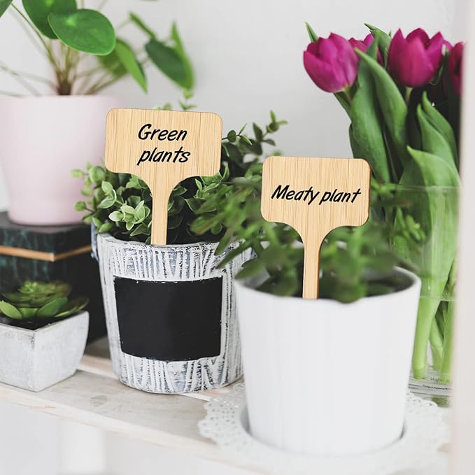 KINGLAKE GARDEN Bamboo Plant Labels,Plant Labels Garden Tags 60 Pack T-Type Wooden Plant Sign Tags Vegetable Garden Markers for Plants(6.5 X 10 cm)