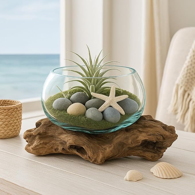OMA Hand Blown Molten Glass Bowl on Driftwood – Unique Vase, Planter, Terrarium or Candle Holder – Eco-Friendly Recycled Glass & Natural Wood Centerpiece and Artisan Gift - Large Size