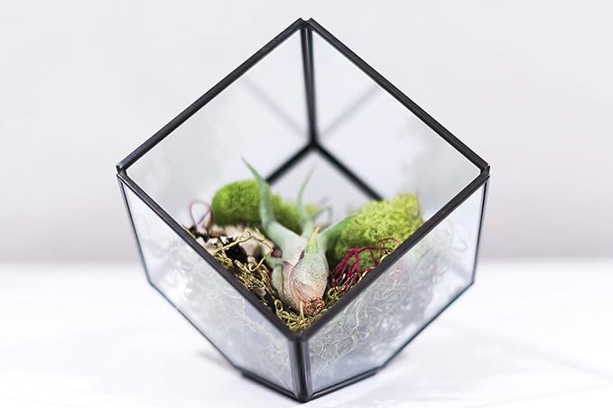 WGV Geometric Planter Terrarium, Width 8" Height 8.5" Clear Glass Black Frame DIY Succulent air Plant Miniature Fairy Garden Windowsill Tabletop Decor, Tilted Cube 1 Piece
