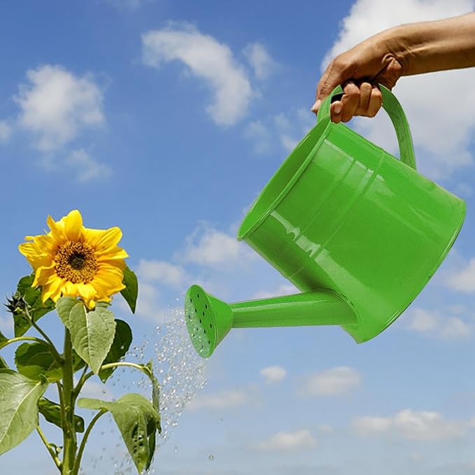 Watering Can Gardening Tool Accessories, Sprinkling Can 1L Metal Flower Garden Watering Can for Outdoor Indoor Plants Lawn Garden (Green)
