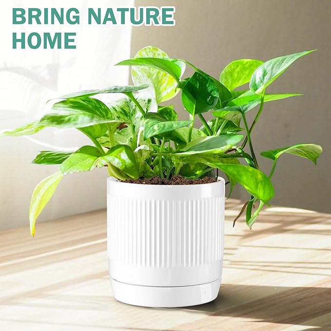 Vanavazon 6 Inch Glazed Ceramic Plant Pots Indoor with Drainage Hole and Saucer, Cylinder Indoor Planters for All House Plants, Modern Decor for Home & Office, Set of 2 (White)