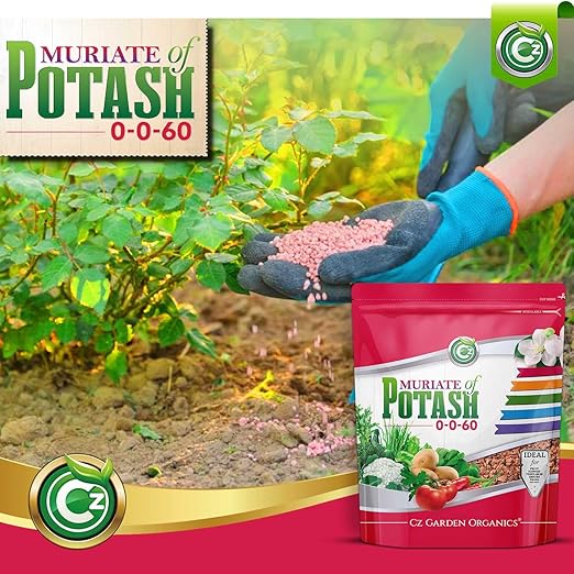 Muriate of Potash 0-0-60 Fertilizer Made in USA - MOP Potassium Plant Food for Indoor/Outdoor Plants, Flower Gardens, Fruit and Vegetable Gardens, Holistic Herbs, Trees and Lawns!