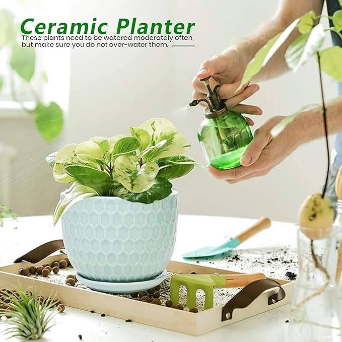 Ceramic Flower Pots with Drainage Hole and Saucer, Modern Round Succulent Planters with Honeycomb Inspired Texture Design, Small to Medium Sized, Set of 3, Green