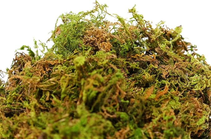 SuperMoss (23913) Mountain Moss – Natural Green Sphagnum Moss for Soil Top Dressing, Potting Mix, Garden Decor, and Craft Projects, 480 cu in, Dried