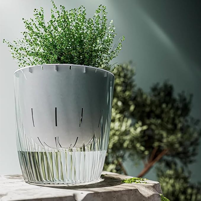 2 Pack 6 Inch Self Watering Pots for Indoor Plants, Self Watering Planter with Reservoir and Wick Rope, Clear Flower Plant Pots for African Violets,Succulents,Herbs,Cactus,Orchids