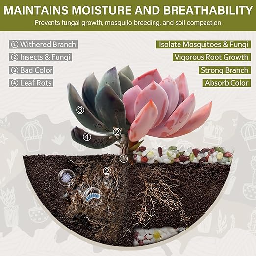 NUPICK 3 lbs Pebbles for Indoor Plants, 1/5 Inch Pea Gravel for Fish Tank, Polished Decorative Rocks for Succulent, Natural River Stones for Vases, Cactus, Landscaping, Bird Bath, Colorful Mixed