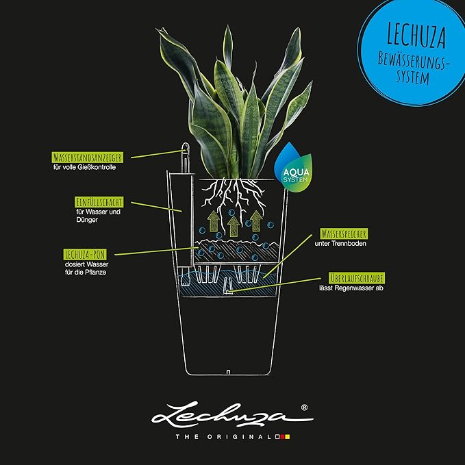 Lechuza 13138 Cubico Color 30 Self-Watering Planter for Indoor and Outdoor Use, 12" x 12" x 22", Slate