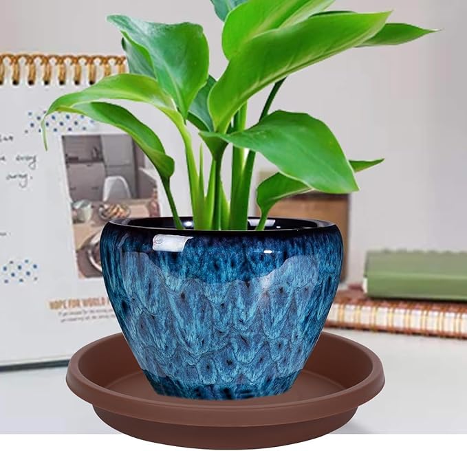 Plastic Plant Saucer Round 12 Inch Extra Large Pack of 2 Heavy Duty Drip Trays for Large Pots