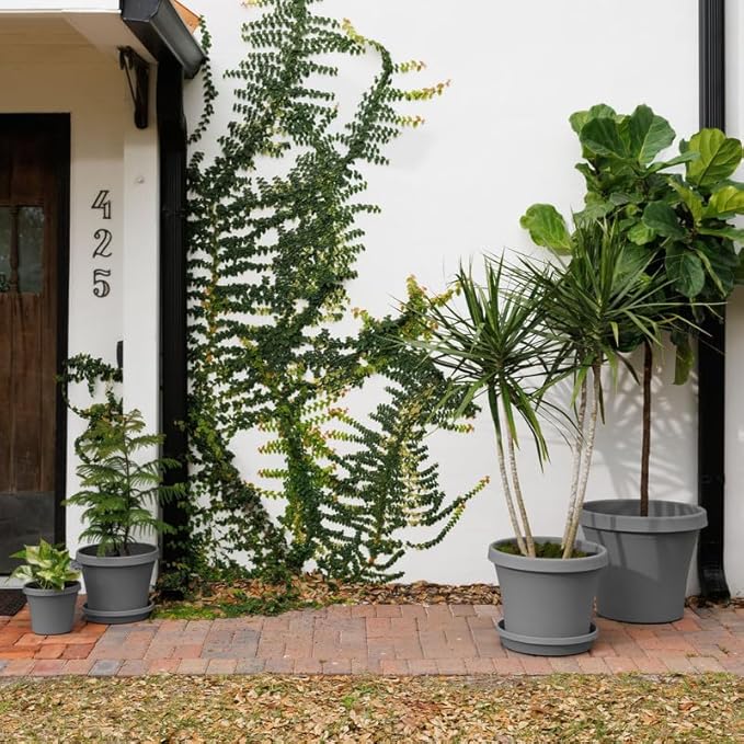 Bloem Terra Pot Round Planter: 12", Charcoal, (Saucer Not Included) Matte Finish, Durable Resin, Traditional Style Pot, For Indoor & Outdoor Use, Gardening, 3.5 Gallon Capacity, Saucer Sold Separately