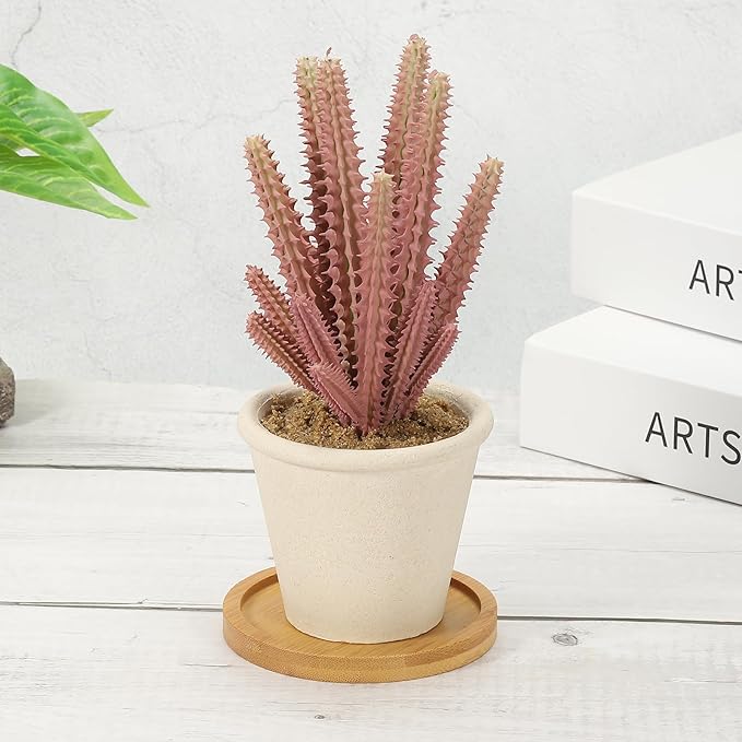 PATIKIL Bamboo Wood Saucer, 2 Pack 3.5 Inch Round Wooden Plant Drainage Tray Bonsai Plants Saucer Succulent Pot for Home Balcony