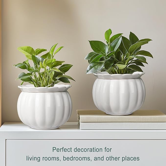 African Violet Pots, Self-Watering Ceramic Planter – 6 Inch Pot for Indoor Plants, Succulents, Herbs & Small Houseplants, Simple Self-Watering Design for Home & Office Décor, White
