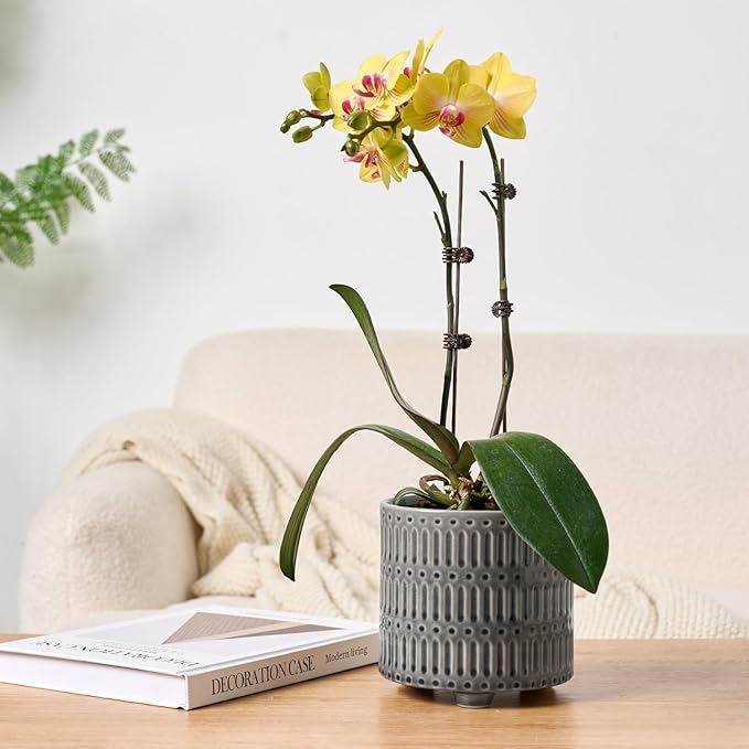 5 Inch Ceramic Planters for Indoor Plants, Gray Cactus Snake Plant Pots with Drainage, Unique Design Round Flower Pot for Home Decoration