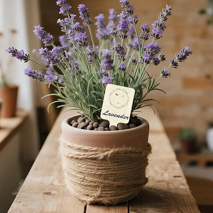 24pcs Herb Markers, Thickened Acrylic Herb Garden Signs Waterproof and Double Sided Printing Plant Labels Name Tags Stakes for Outdoor Garden Farmland Potted Plants Flowers Seedlings and Greenhouse