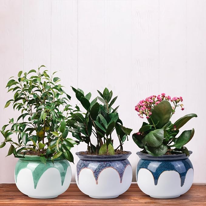 African Violet Pots, 6 Inch Self Watering Pots for Indoor Plants, Easy Plant Self Watering Planter, Ceramic Plant Pot with Absorbent Inner Pot for Flowers - Gradient Green (No Plants)
