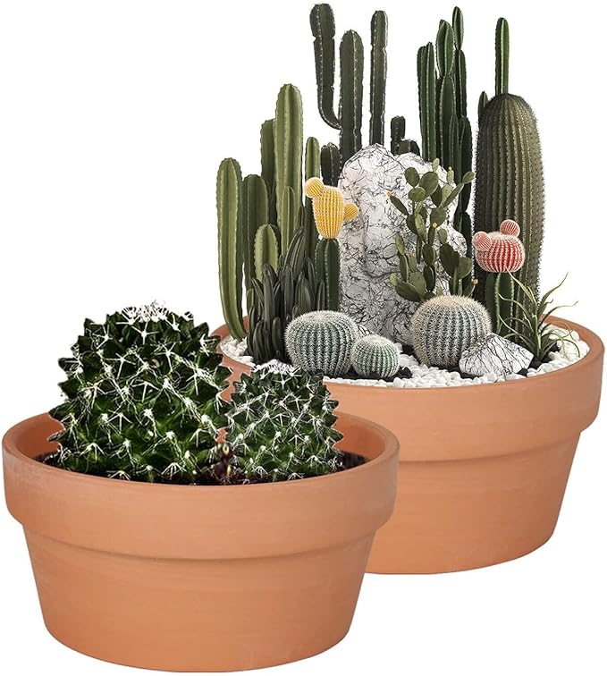 vensovo 8 Inch Terracotta Shallow Succulent Pot - 2 Pack Large Terra Cotta Clay Pot, Cacuts Indoor and Outdoor Planters with Drainage Hole