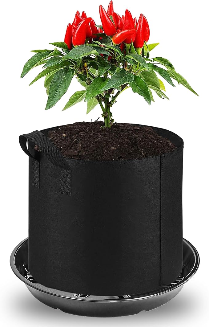 6 Pack of 10 Inches Plant Saucers for Indoor, Durable Plant Saucer Pot Tray, Round Plastic Flower Plant Dish Pant Plate to Catch Water, Black