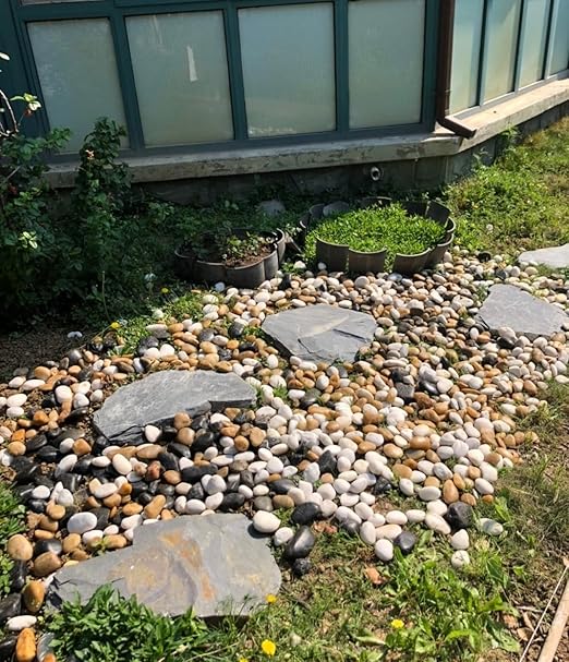 20 lbs Pebbles for Indoor Plants, 0.8-1.2 Inch Polished River Rocks Decorative Stones for Garden, Aquarium, Vase Fillers, Outdoor Landscaping and Backyard