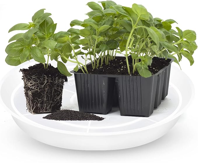 6 8 10 Inch Plant Saucer Pot Tray, 6 Pack Clear Plant Saucers for Indoors and Outdoors, Large Plastic Dish Suacer Water Drip Tray for Potted Plants Flowers (6 8 10 Inches)