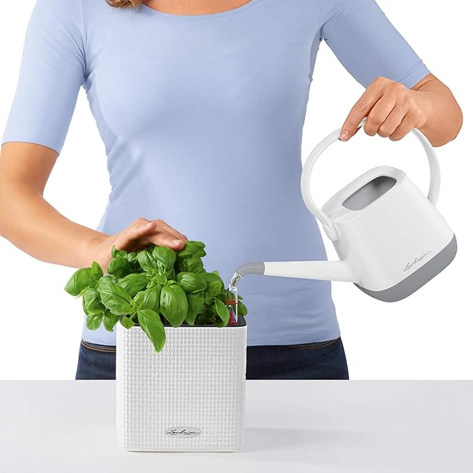 Lechuza Cube Color 16 Slate, Self-Watering Indoor Small Plant Pot, H6.3 L6.7 W6.7 in