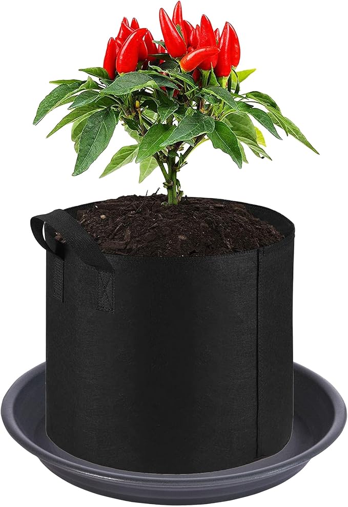 6 Pack Plant Saucer Drip Tray 9 10 inch, Plant Dishes Saucer Plastic Flower Planter Saucers and Drip Trays for Indoors Outdoors, Heavy Durable Plant Plate Water Catcher (10", Dark Gray)