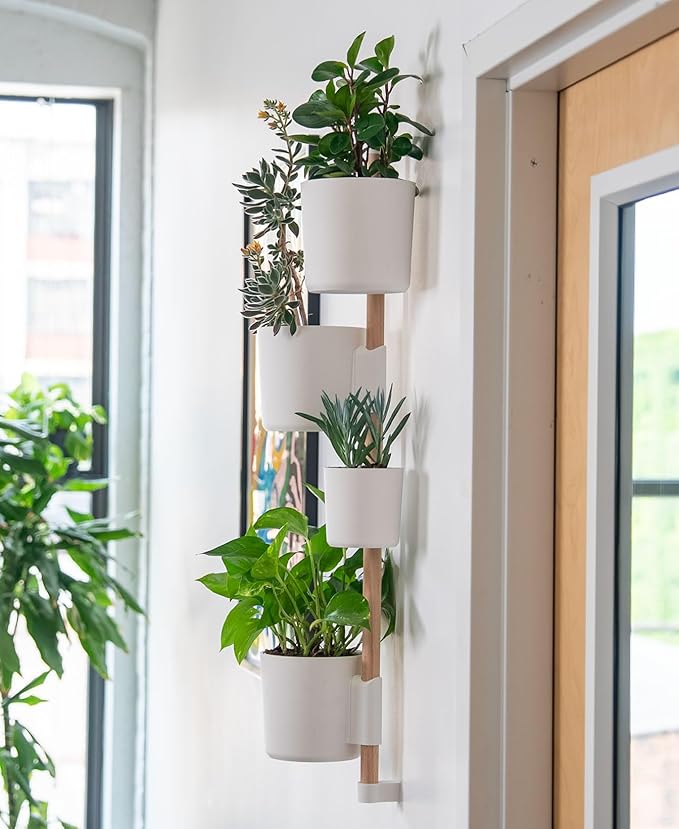 Lofted Goods The Rail Wall Mounted Vertical Plant Holder, White Planters with Wooden Dowel, 36 Inch, Indoor Hanging Garden Display, Contemporary Home Decor