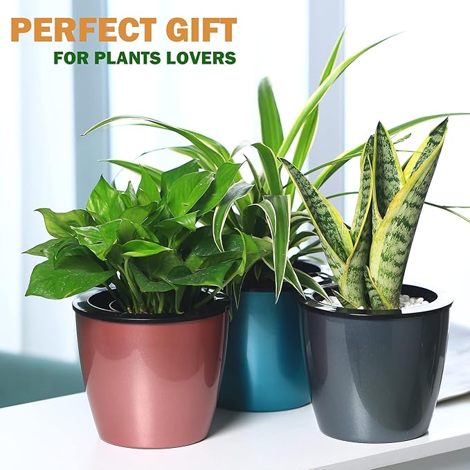 Planterhoma 6.7 Inch Self Watering Pots for Indoor Plants, 6 Packs African Violet Pots, Black Wick Pot with Drainage Holes, Self Watering Planters for Orchid, Devil's Ivy, Blue/Rose Gold