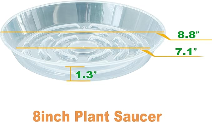 6 Packs Plant Saucer Pot Tray, 8 inch Clear Flower Planter Saucers and Drip Trays, Plastic Flower Planter Saucers for Indoors Outdoors, Heavy Durable Plant Plate Water Catcher