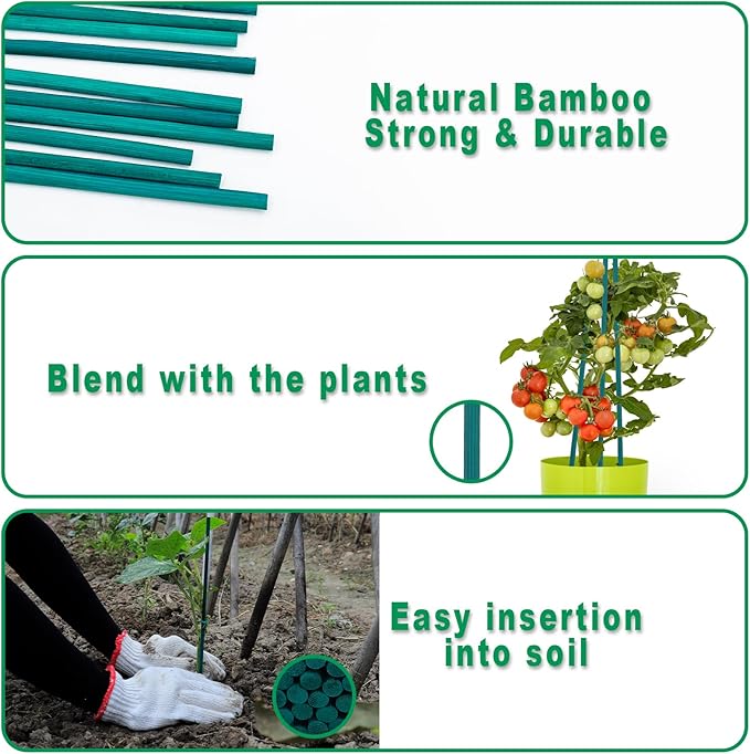 Plant Stakes 50 PCS Garden Green Bamboo Sticks Plant Support Stakes for Indoor and Outdoor Plants, Wooden Sign Posting Flower Pot Garden Stakes(15" 25pcs+17" 25pcs)
