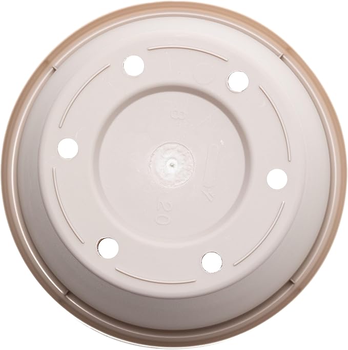 Bloem Terra 6" Diameter Round Pebble Stone Resin Planter Pot with Drainage Holes for Indoor and Outdoor Gardening