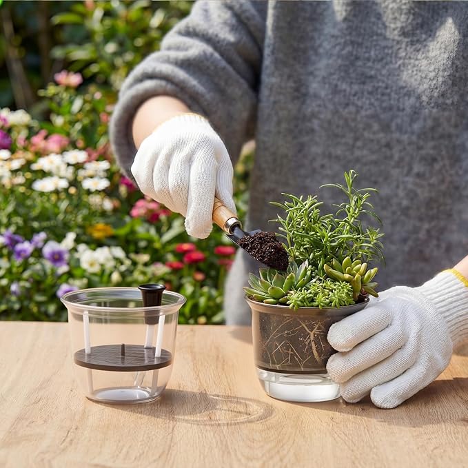 6 Pcs Clear Self Watering Pots for Indoor Outdoor Plants Flowers, 4 Inch Self Watering Planters with Reservoir, Drainage Hole and Absorbent Cotton Rope