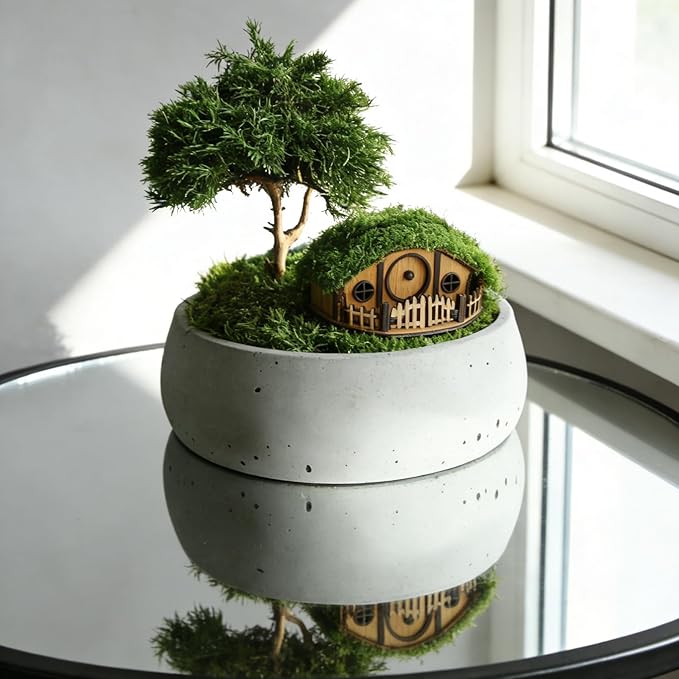 Mosswood Mini Treehouse for Indoor Plants – Woodland-Inspired Mini House for Plant Pots, Terrariums & Fairy Gardens, Dwarf Tree - Plant Mini Treehouse