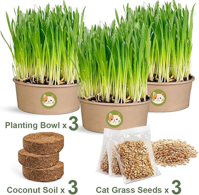 Cat Grass Kit for Indoor Cats, 3 Pack Fast Growing Cat Grass Kit with Eco-Friendly Biodegradable Pots, Soil & Wheatgrass Seeds, Grows in 3-7 Days with High Germination Rate