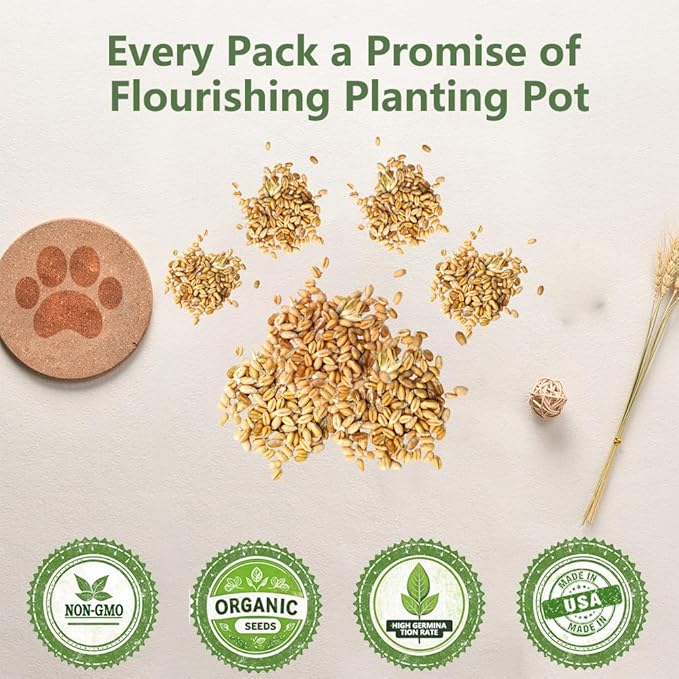 Cat Grass Kit for Indoor Cats, 3 Pack Fast Growing Cat Grass Kit with Eco-Friendly Biodegradable Pots, Soil & Wheatgrass Seeds, Grows in 3-7 Days with High Germination Rate