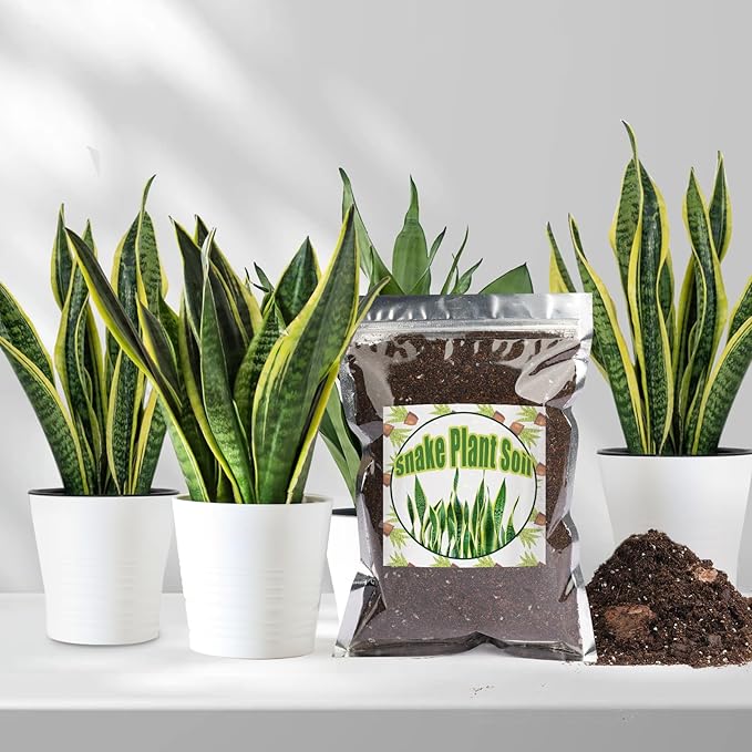 Premium Snake Plant Soil Mix 10qt, Indoor Plants Potting Mix for All Potted Snake Plants, Promote Healthy Growth and Easy Care, black