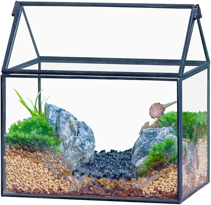 NCYP Small Glass Terrarium with Lid for Plant Succulent - 6.1 X 4.33 X 6.3 Inches - House Shape Flower Pot, Garden Tabletop Decor Planter, Geometric Centerpiece, Black (No Plants)