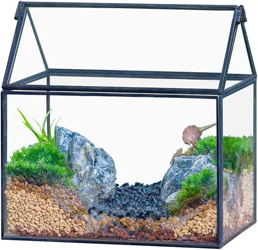 NCYP Small Glass Terrarium with Lid for Plant Succulent - 6.1 X 4.33 X 6.3 Inches - House Shape Flower Pot, Garden Tabletop Decor Planter, Geometric Centerpiece, Black (No Plants)
