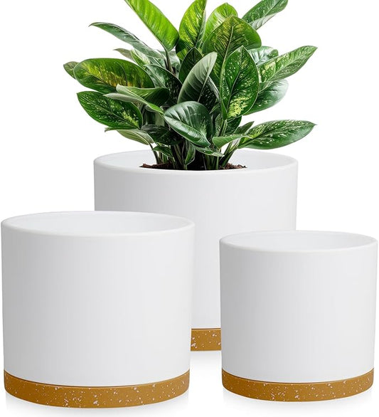 Large Plant Pots Set of 3 – 8", 9", 10" Indoor Flower Pots with Drainage Holes and Saucers, Big Planters for Monstera, Fiddle Leaf Fig, Snake Plant – 5 Colors
