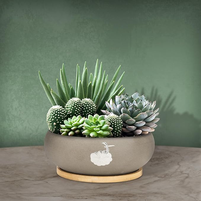 Ceramic Planters with Wooden Tray: 7" Hydroponic Lotus Bowl Planter for Water Lilies | Nature-Inspired Carvings Indoor/Outdoor Decorative Pot | Elegant Aquatic Garden Centerpiece