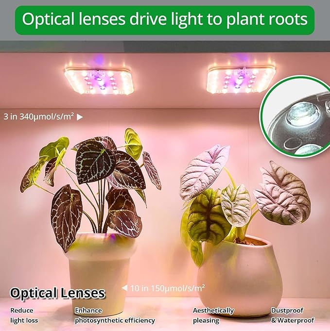 DOMMIA Full Spectrum LED Grow Light for Indoor Plants, 2 Panels 10W with 6/12/16h Timer Dimmable Plant Lights for Flower Veg Plant Growth USB, Pinkish White, 1-Pack
