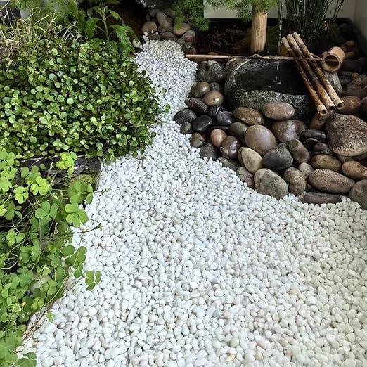 40lbs White River Rocks for Landscaping, 2-3 Inch Natural Pebbles for Indoor Plants, Snow White Decorative Stones Garden Outdoor and Indoor DIY Vase Filler Fish Tank Aquariums