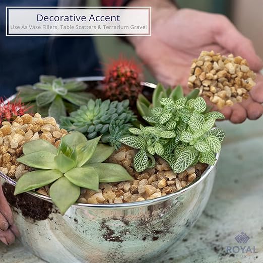 River Rocks Decorative Ornamental Vase Filler Aquarium Gravel Natural, Mini 5 lbs - Landscaping Pebbles for Indoor Plants, Fish Tank Gravel, Terrarium & Home Decor, DIY & Crafting – Royal Imports